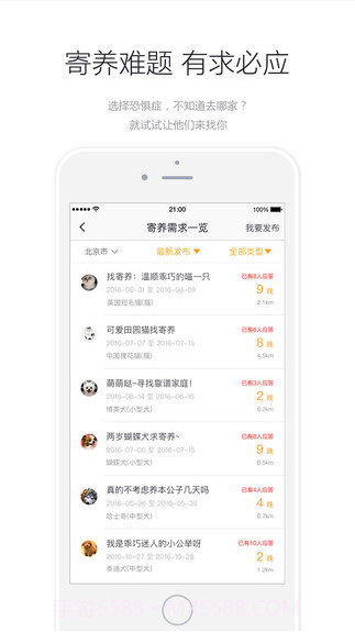 小狗在家-宠物寄养截图5 小狗在家-宠物寄养截图5