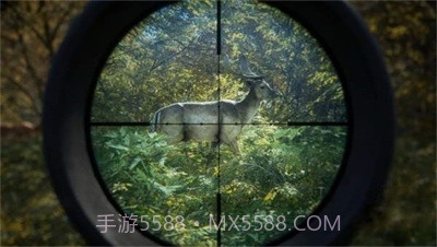 猎人：荒野的召唤正版截图2