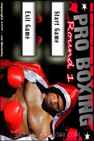3D拳击大赛截图1