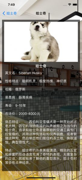 佳友宠截图2 佳友宠截图2