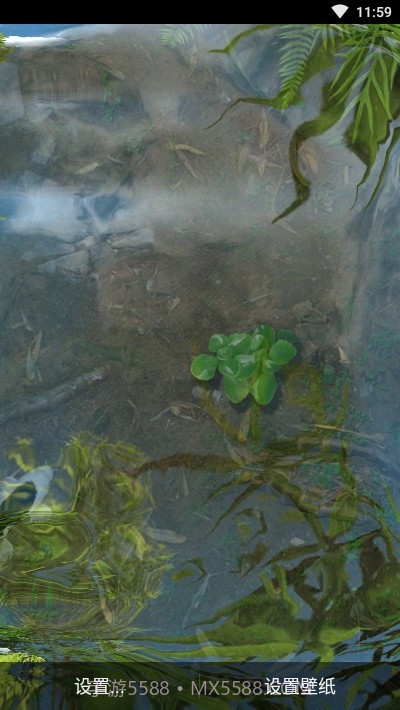 鱼池动态壁纸截图1 鱼池动态壁纸截图1