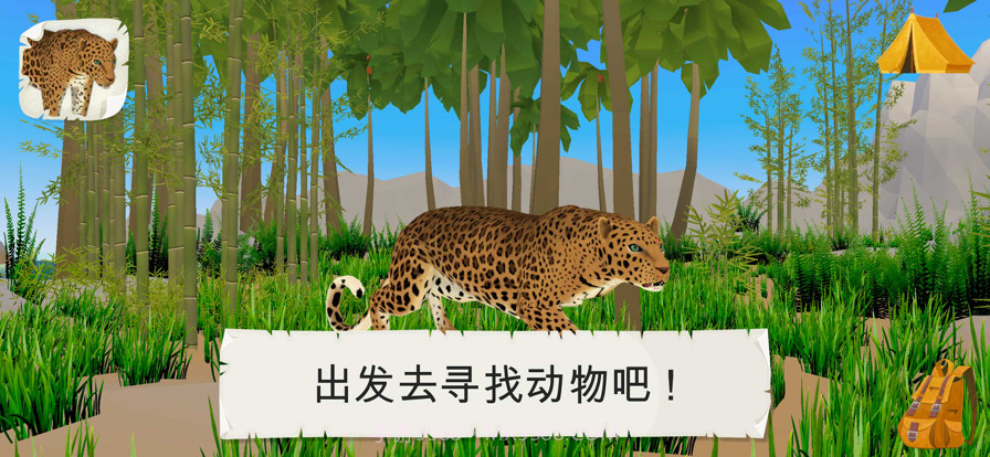 野生动物截图1 野生动物截图1