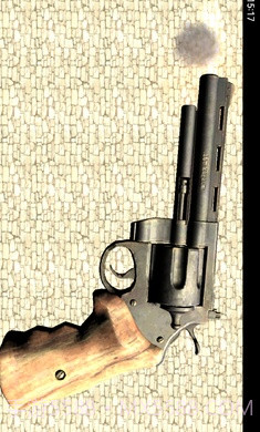 左轮枪俄罗斯轮盘截图1 左轮枪俄罗斯轮盘截图1