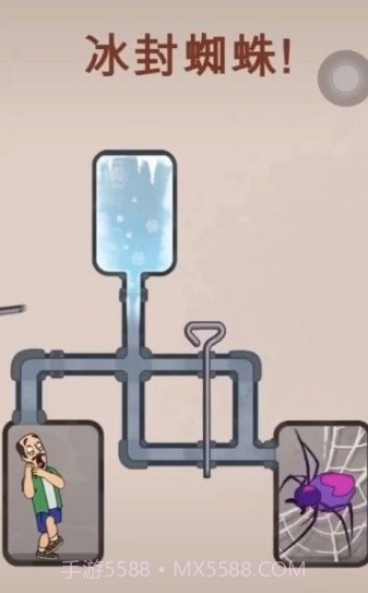 把蜘蛛冻死截图2 把蜘蛛冻死截图2