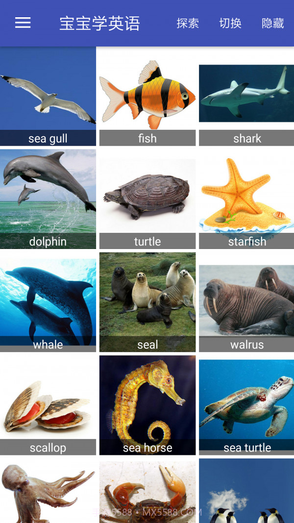 宝宝学英语截图4