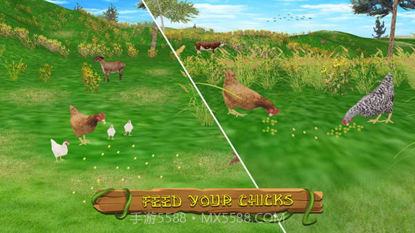 真实模拟鸡3D截图3 真实模拟鸡3D截图3