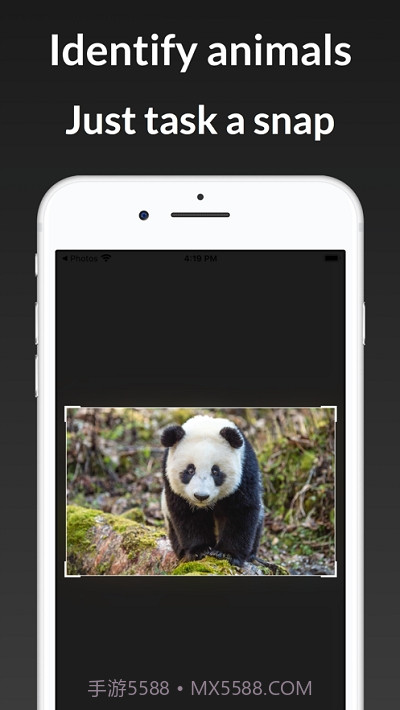 ianimal动物识别截图1 ianimal动物识别截图1