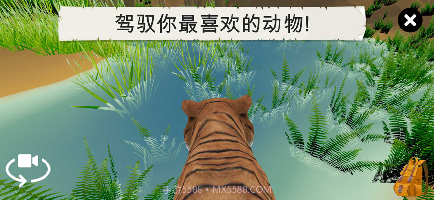 野生动物截图7 野生动物截图7