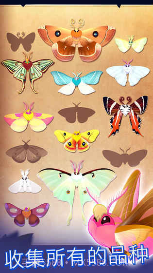 彩翼之星夜starlight截图1 彩翼之星夜starlight截图1