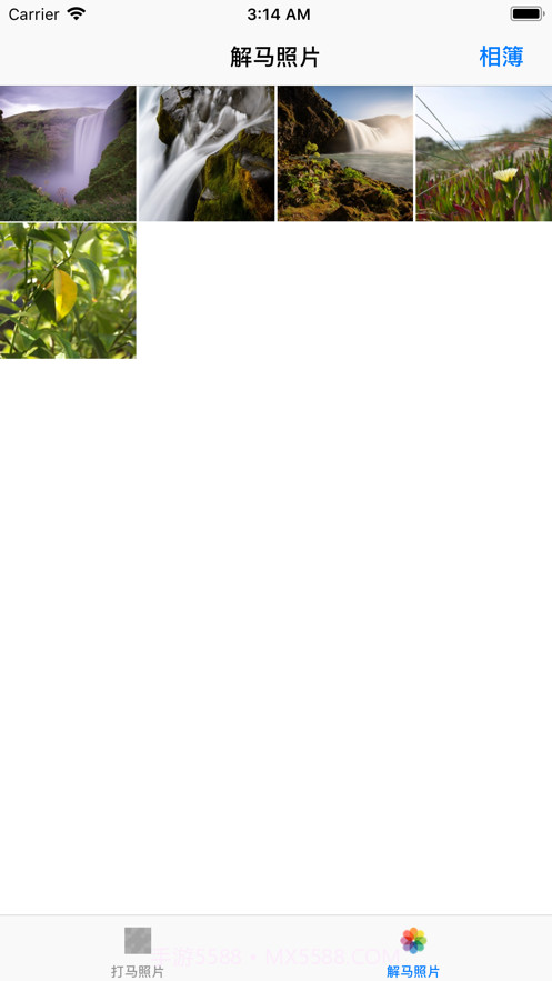 可逆马赛克截图1