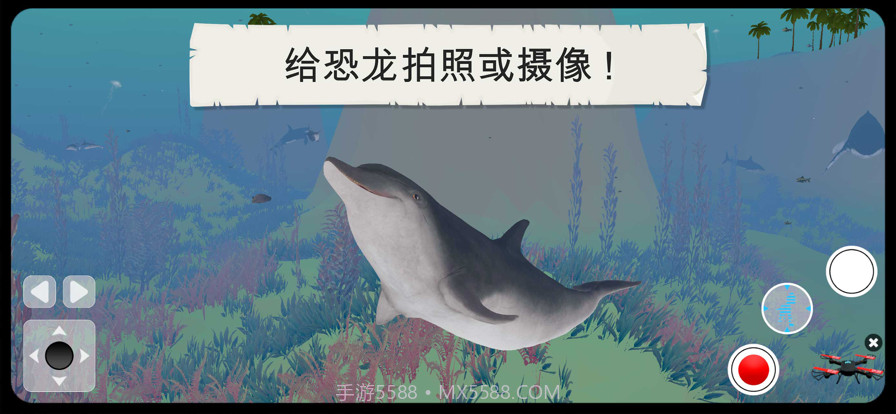 野生动物截图2 野生动物截图2