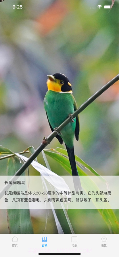 动物百科截图2 动物百科截图2