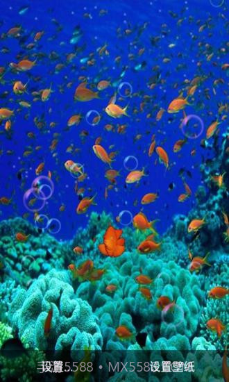 3D海底世界动态壁纸截图3