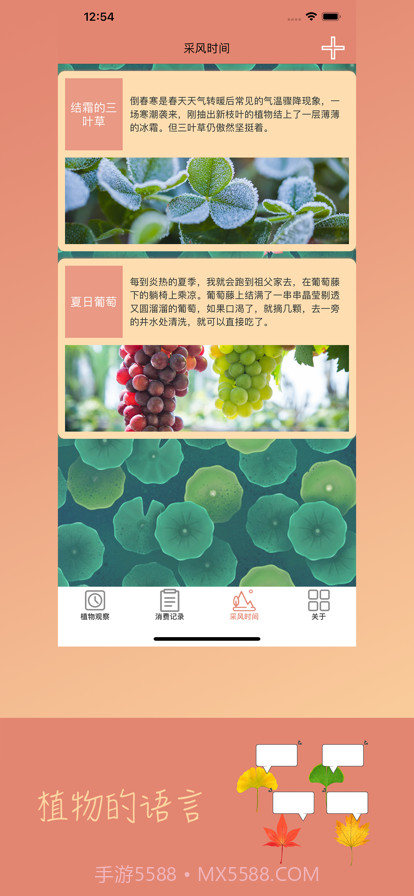 植物的语言截图3
