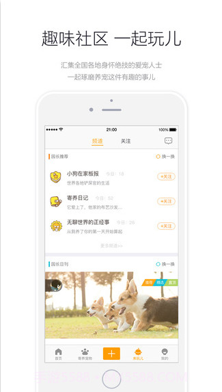 小狗在家-宠物寄养截图4 小狗在家-宠物寄养截图4