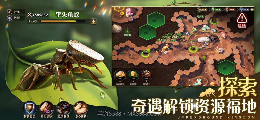 小小蚁国:真实蚂蚁世界截图2 小小蚁国:真实蚂蚁世界截图2