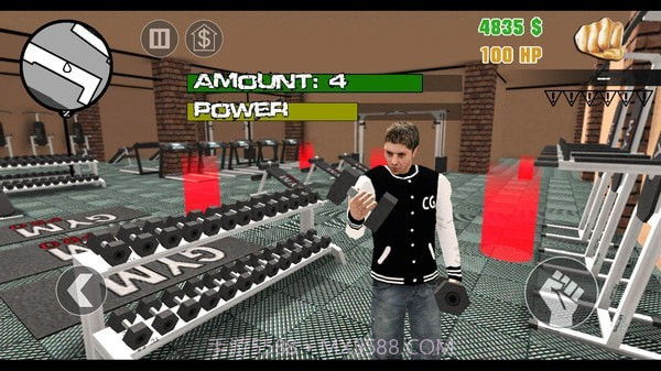 疯狂的圣安地列斯截图3