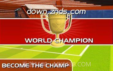 3D网球大赛 TV版截图2