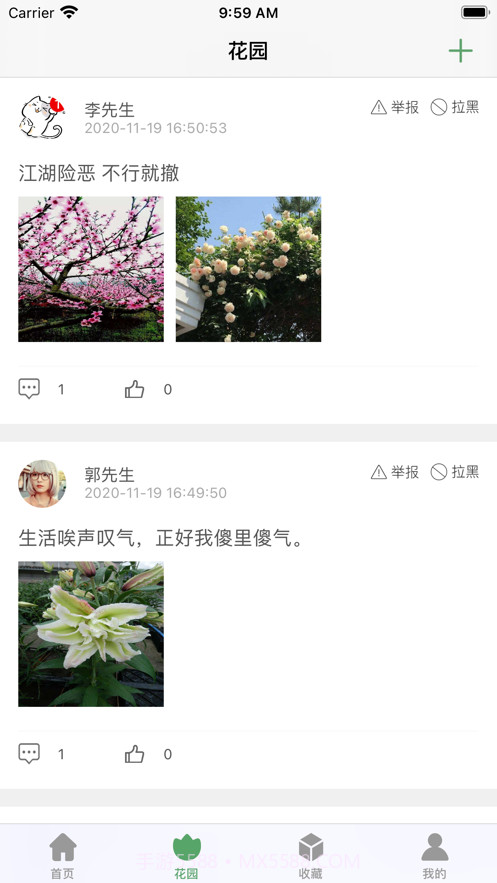 口袋绿植截图5 口袋绿植截图5