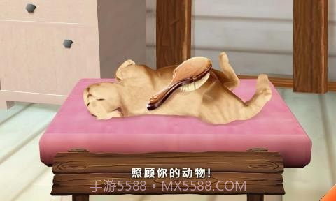 动物旅馆截图3 动物旅馆截图3