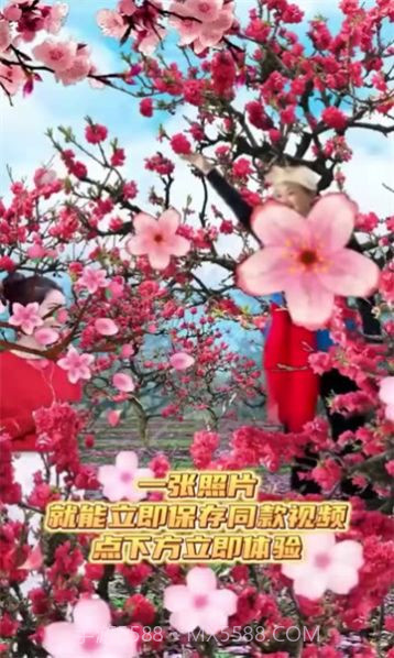 魔力音乐相册截图2