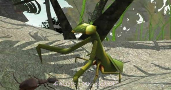 3d蚂蚁模拟器截图1 3d蚂蚁模拟器截图1