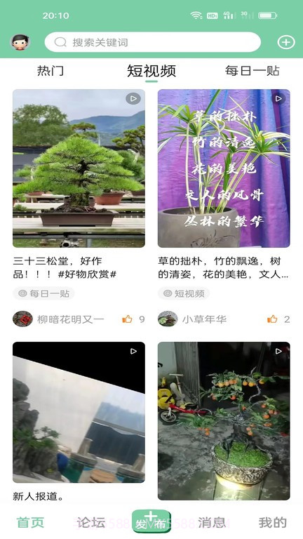 千盆截图2 千盆截图2