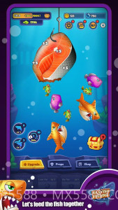 放置鱼类饲养截图2