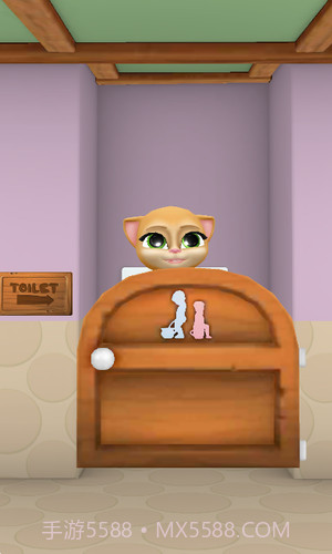 会说话的怀孕艾玛猫截图3