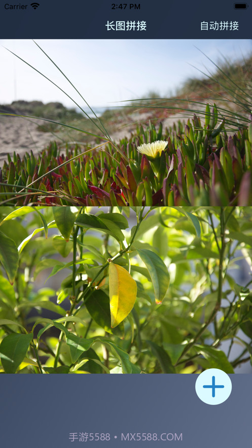 滴答爱拼截图2 滴答爱拼截图2