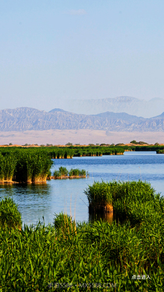 博湖好地方截图4