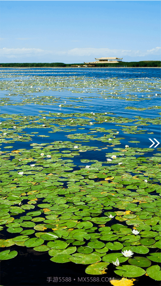 博湖好地方截图2