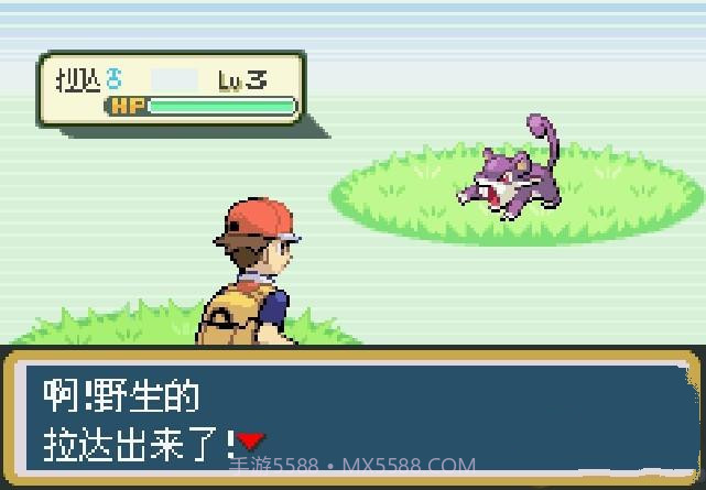 究极绿宝石5.5截图3