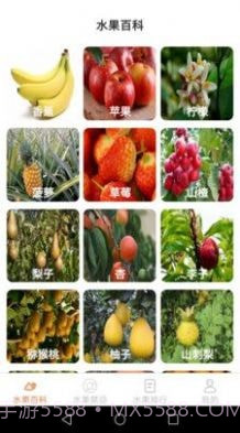 果园看看截图1 果园看看截图1