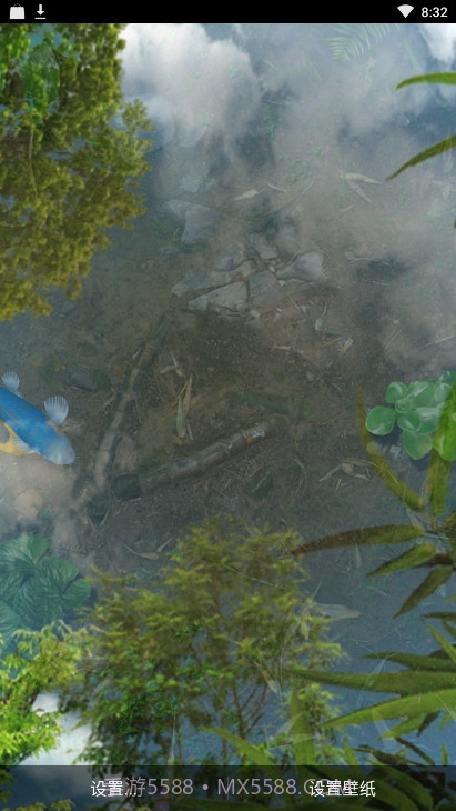 锦鲤鱼池3D动态壁纸截图4