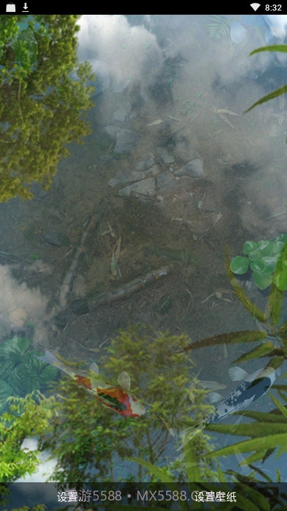 锦鲤鱼池3D动态壁纸截图3