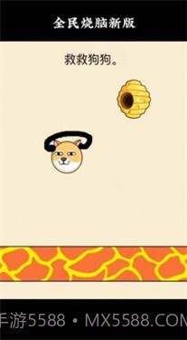 救救狗狗蜜蜂截图2 救救狗狗蜜蜂截图2