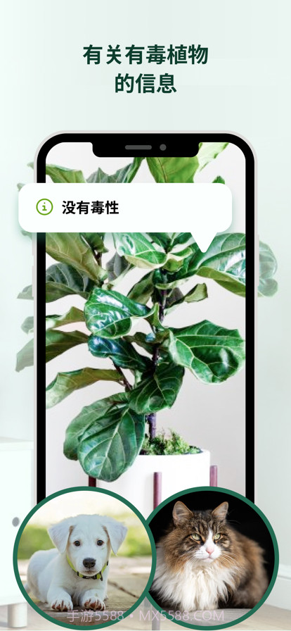 植物花形色拍照识花识别植物截图3 植物花形色拍照识花识别植物截图3