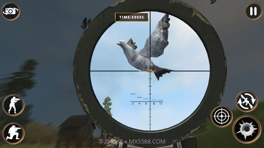 鸽子狩猎截图1 鸽子狩猎截图1