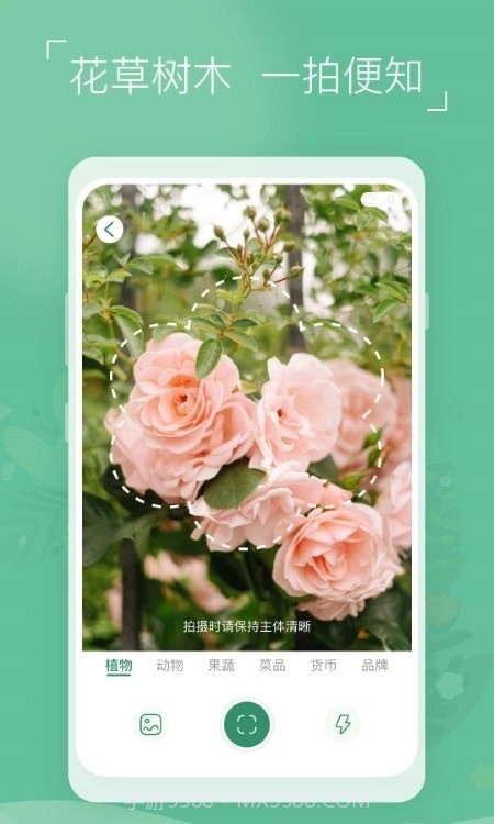 植物识别宝截图3