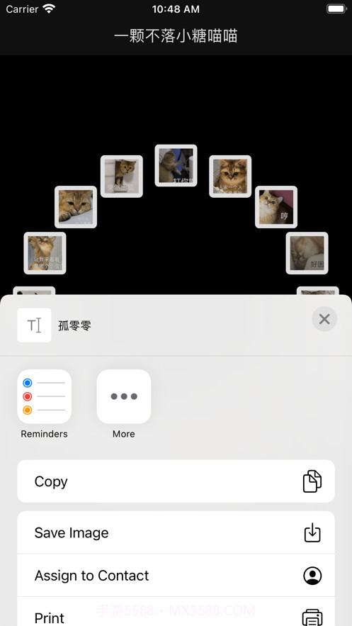 一颗不落小糖喵喵截图3