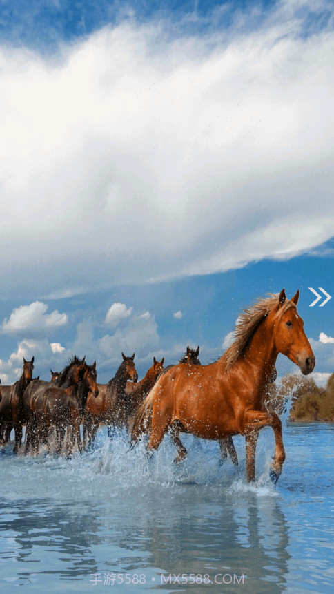 昭苏好地方截图3 昭苏好地方截图3