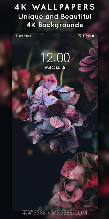 4K3D动态壁纸截图5