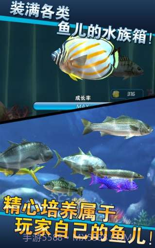 钓鱼发烧友截图3 钓鱼发烧友截图3