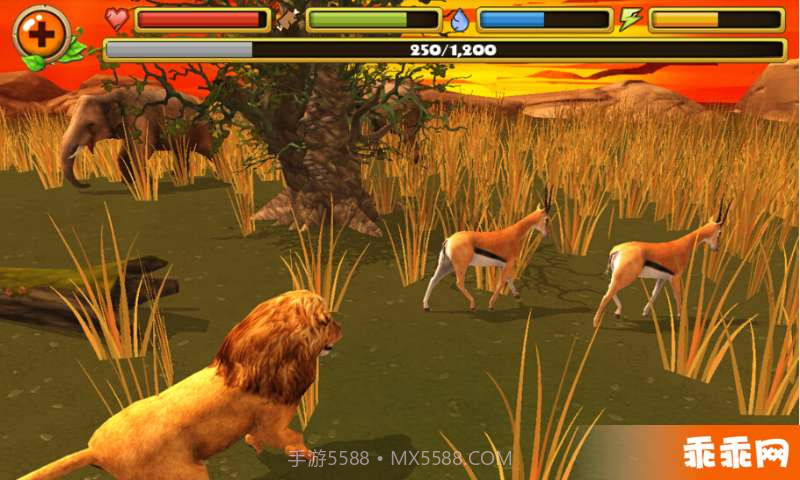 狮子模拟截图5 狮子模拟截图5