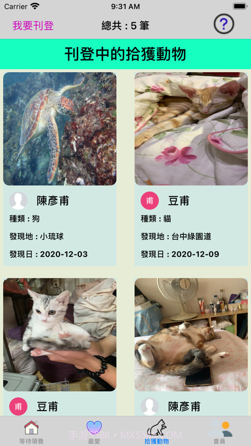 帮它找个家截图2 帮它找个家截图2