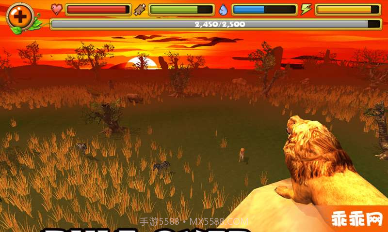 狮子模拟截图2 狮子模拟截图2