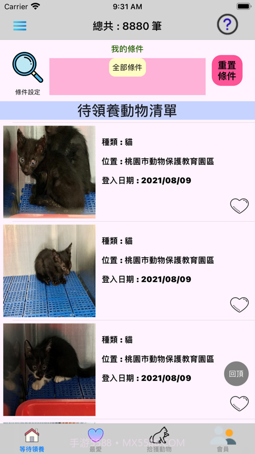 帮它找个家截图1 帮它找个家截图1