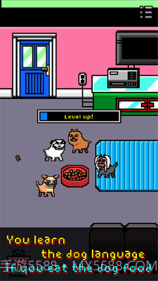 我变成一只狗截图2