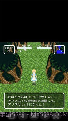 爱丽丝与不思议的迷宫截图5 爱丽丝与不思议的迷宫截图5